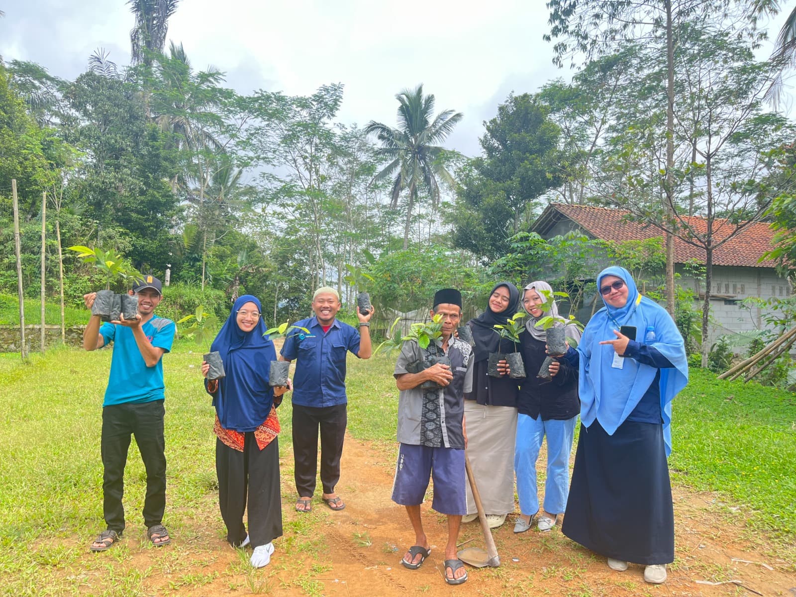 Penanaman Tanaman Pala